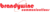 Brandywine Communications