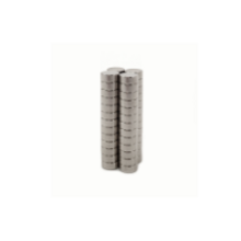 Standex Bare Magnets