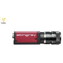 AVT - Stringray F-125 Industrial camera, Sony EXview HAD CCD sensor ICX445