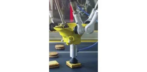 Zebra Aurora Design Assistant png