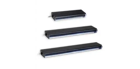 Advanced Illumination LL163