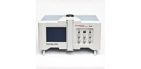 Brandywine timespy-front-straight