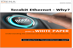 Xena Networks: Terabit Ethernet - Why?